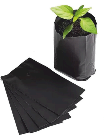 Black Plastic Nursery Bags